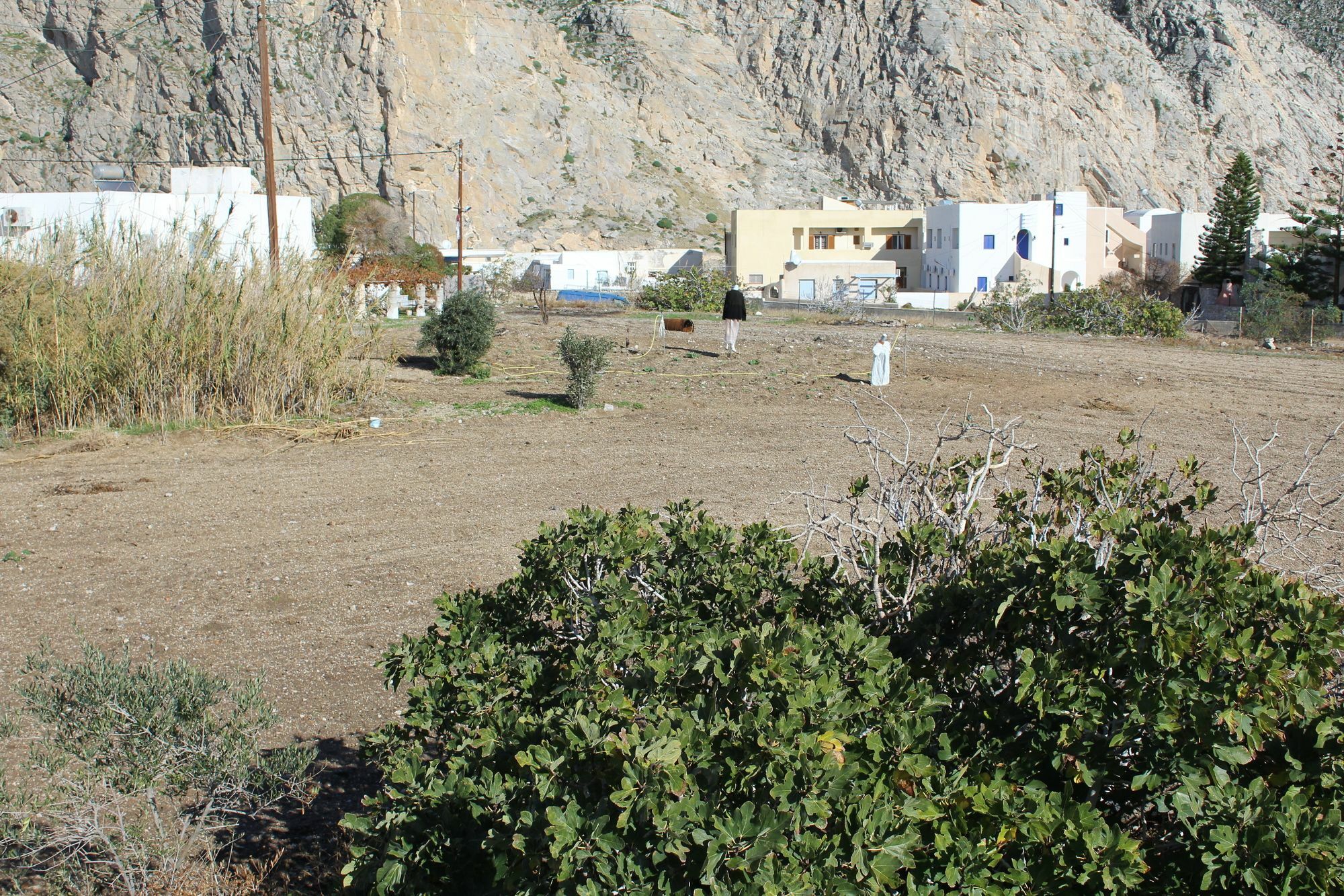 Halaris Studios Perissa  Dış mekan fotoğraf